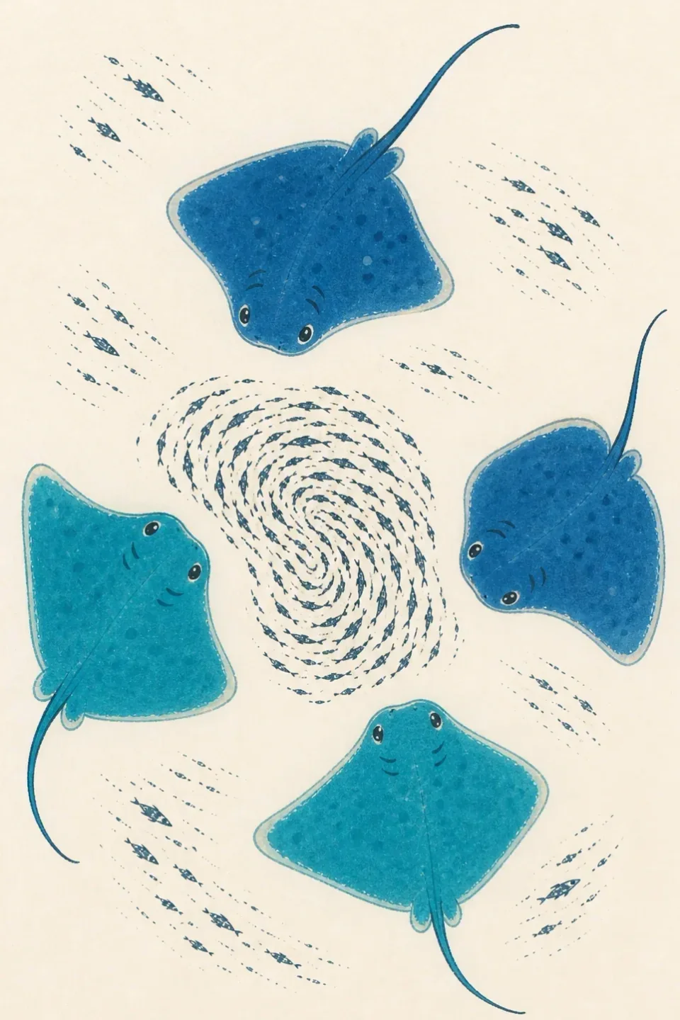 Young stingrays hunting a school of fish, seen from above.